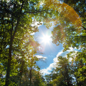 手机看日本亚洲黄色电影
